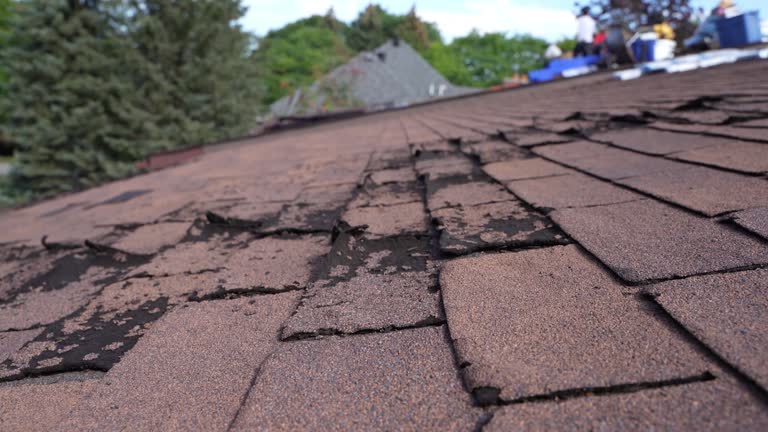 Columbia, SC Roofing Service Company