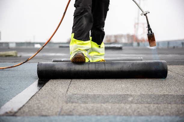 Best Green or Eco-Friendly Roofing Solutions  in Columbia, SC