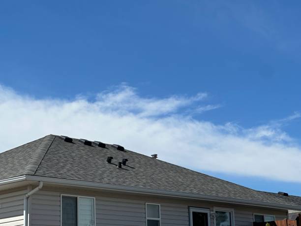 Best Asphalt Shingles Roofing  in Columbia, SC