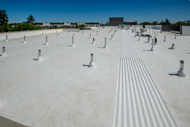Best 4 Ply Roofing  in Columbia, SC